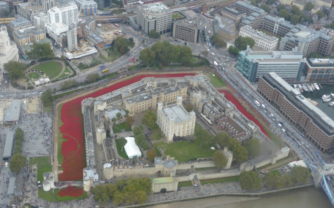 Birds-eye-view of the poppies at the Tower of London.