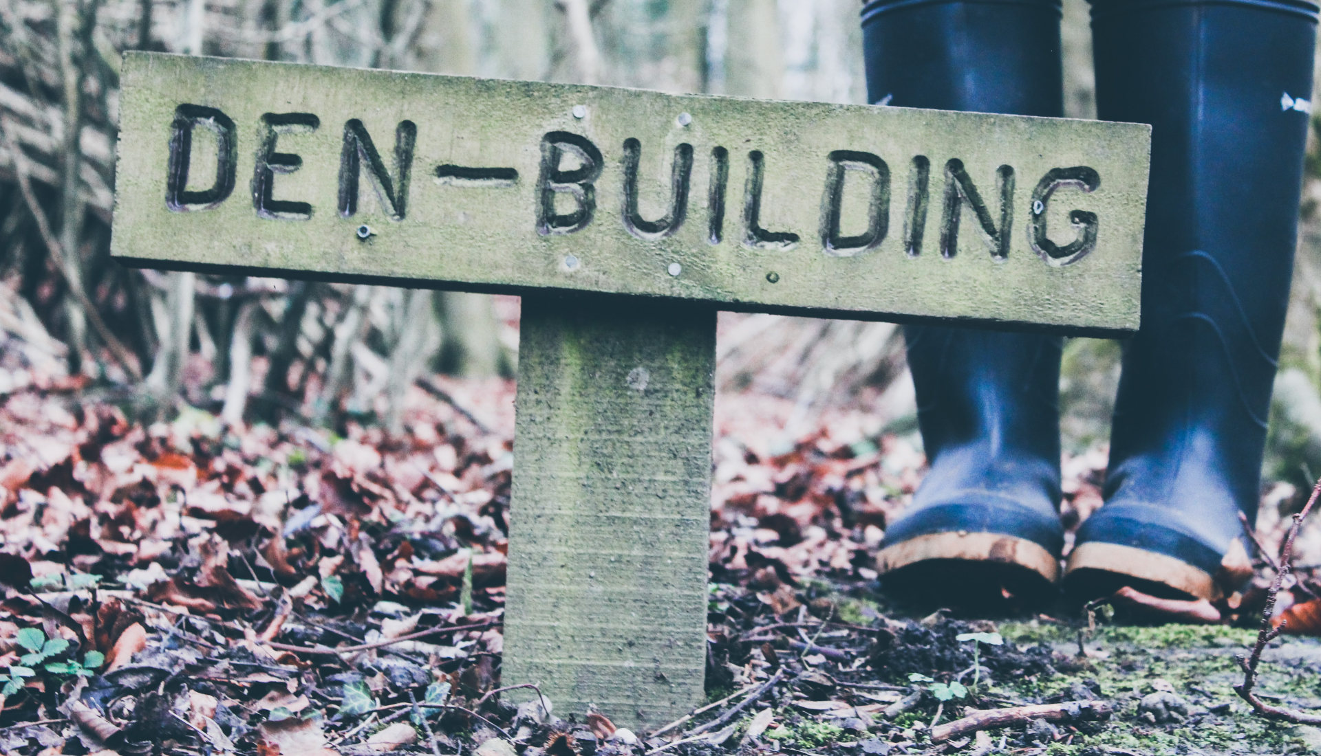 Den-building sign in woodland