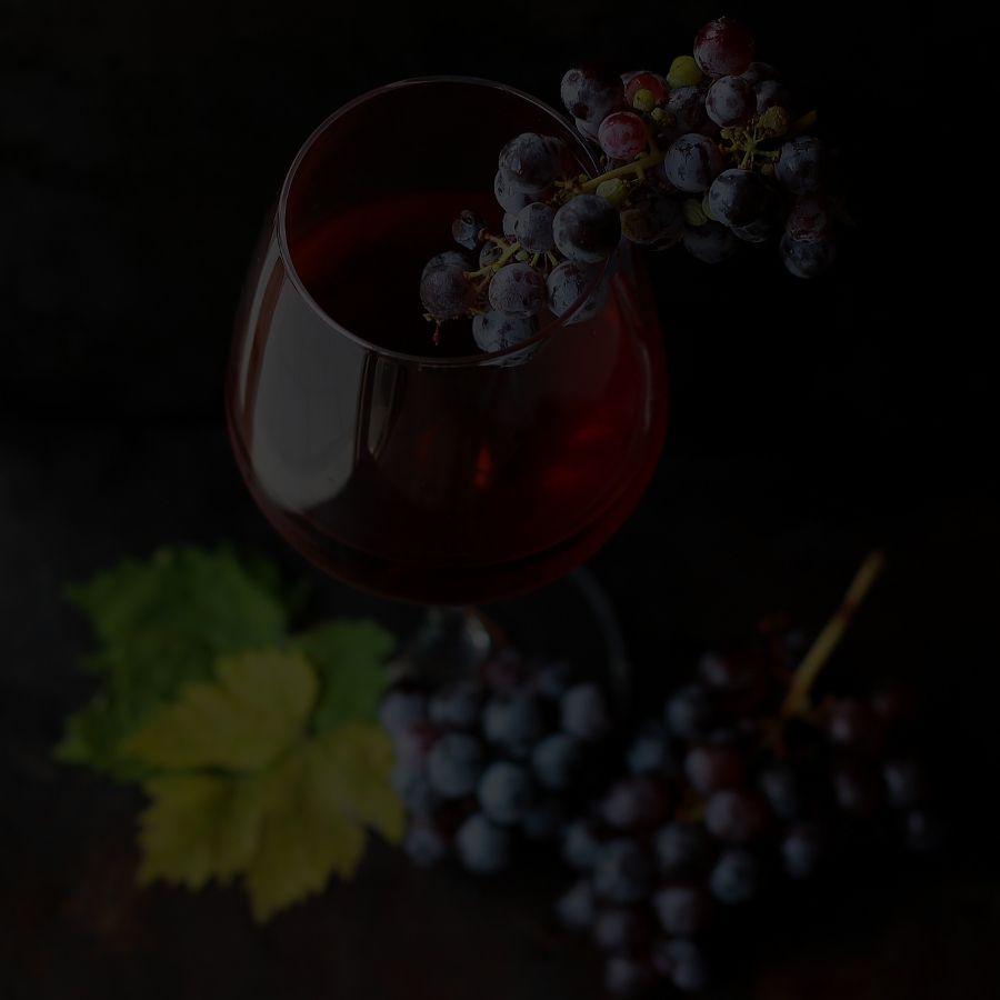 Grape vines (Credit: Roberta Sorge via Unsplash)