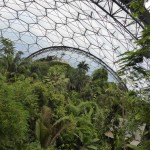 Inside The Eden Project.