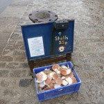 Shells for sale at Mullion Cove.