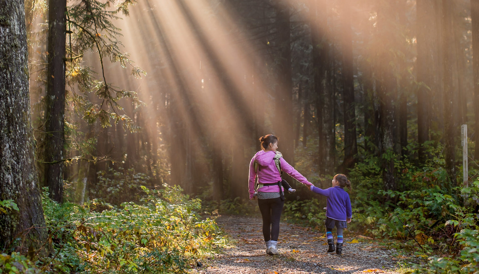 Women and child walking through woodland with rays of light shining through trees